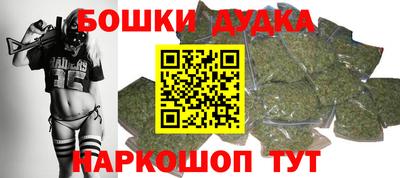 индика Ирбит