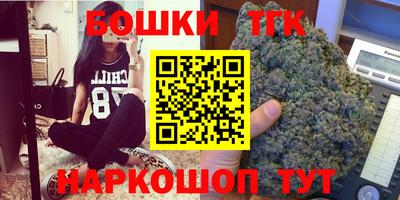 индика Ирбит