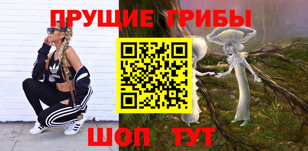 Псилоцибиновые грибы Psilocybe  Вход с VPN  Кизляр 