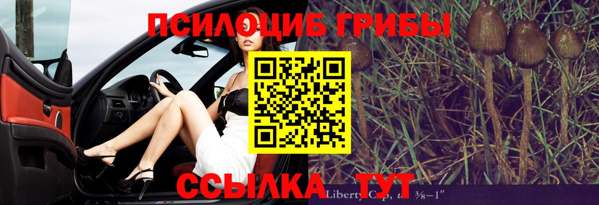 Псилоцибиновые грибы Psilocybine cubensis Кизляр