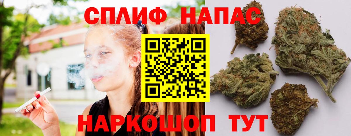 Бошки Шишки конопля Кизляр